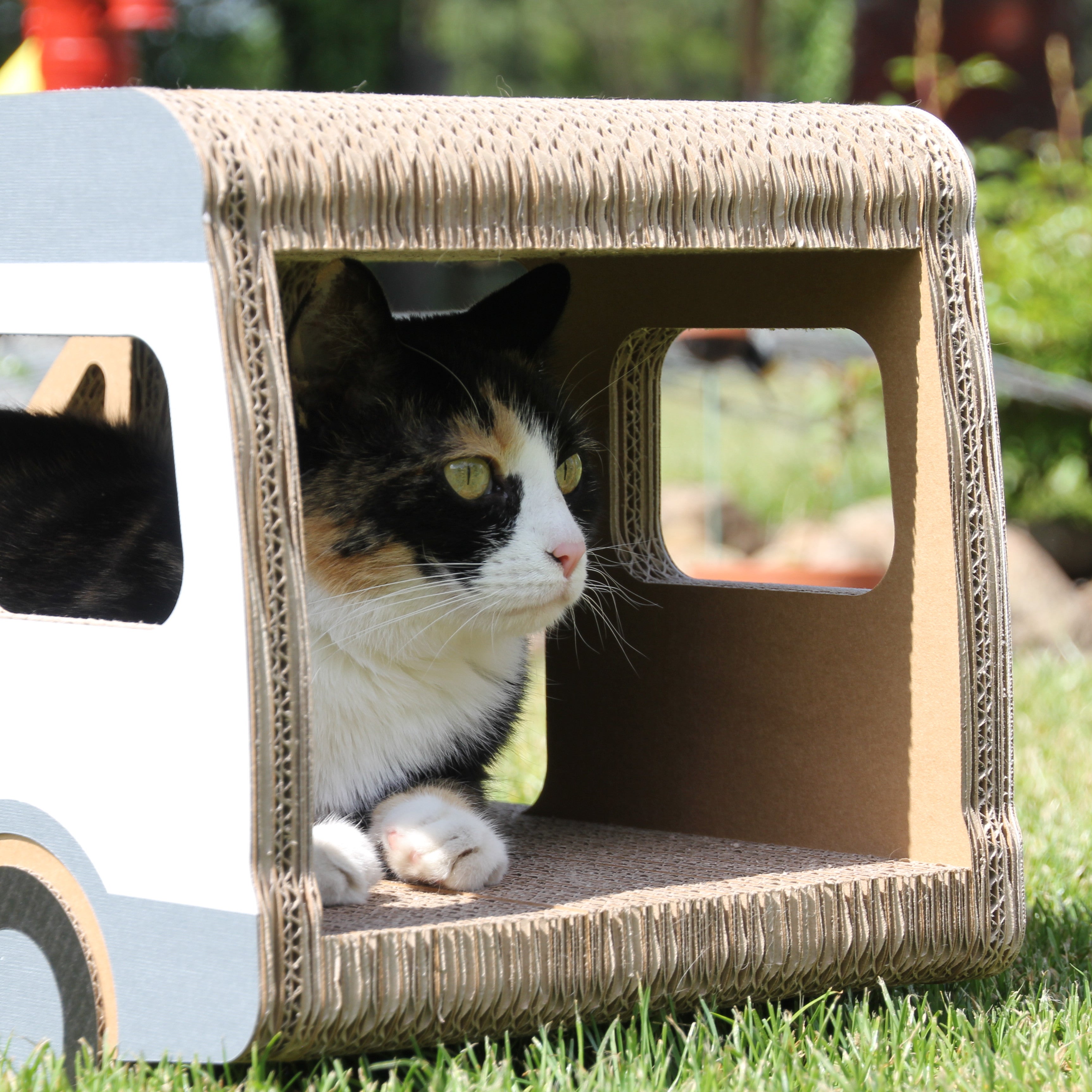 Katzencamper Seitenansicht - dekoratives Katzenmöbel aus Wellpappe