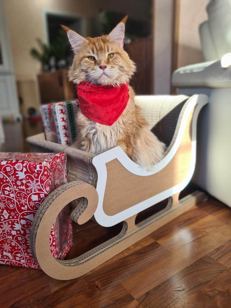Katzenschlitten mit großer Katze - stabiles Kratzmöbel aus Wellpappe
