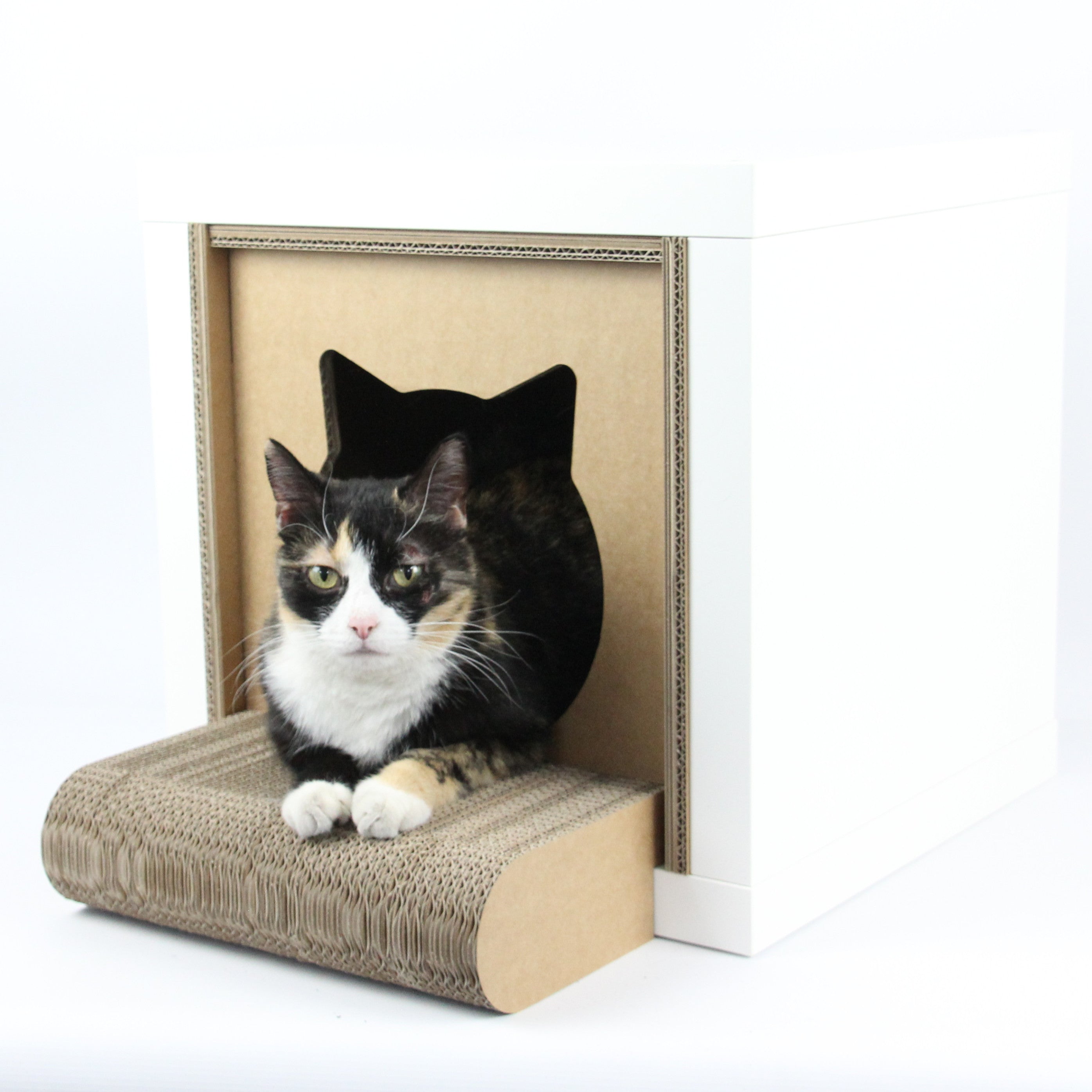 Katzenloggia für IKEA Kallax Regal mit Katze Milka - Kratzmöbel Einsatz aus Wellpappe