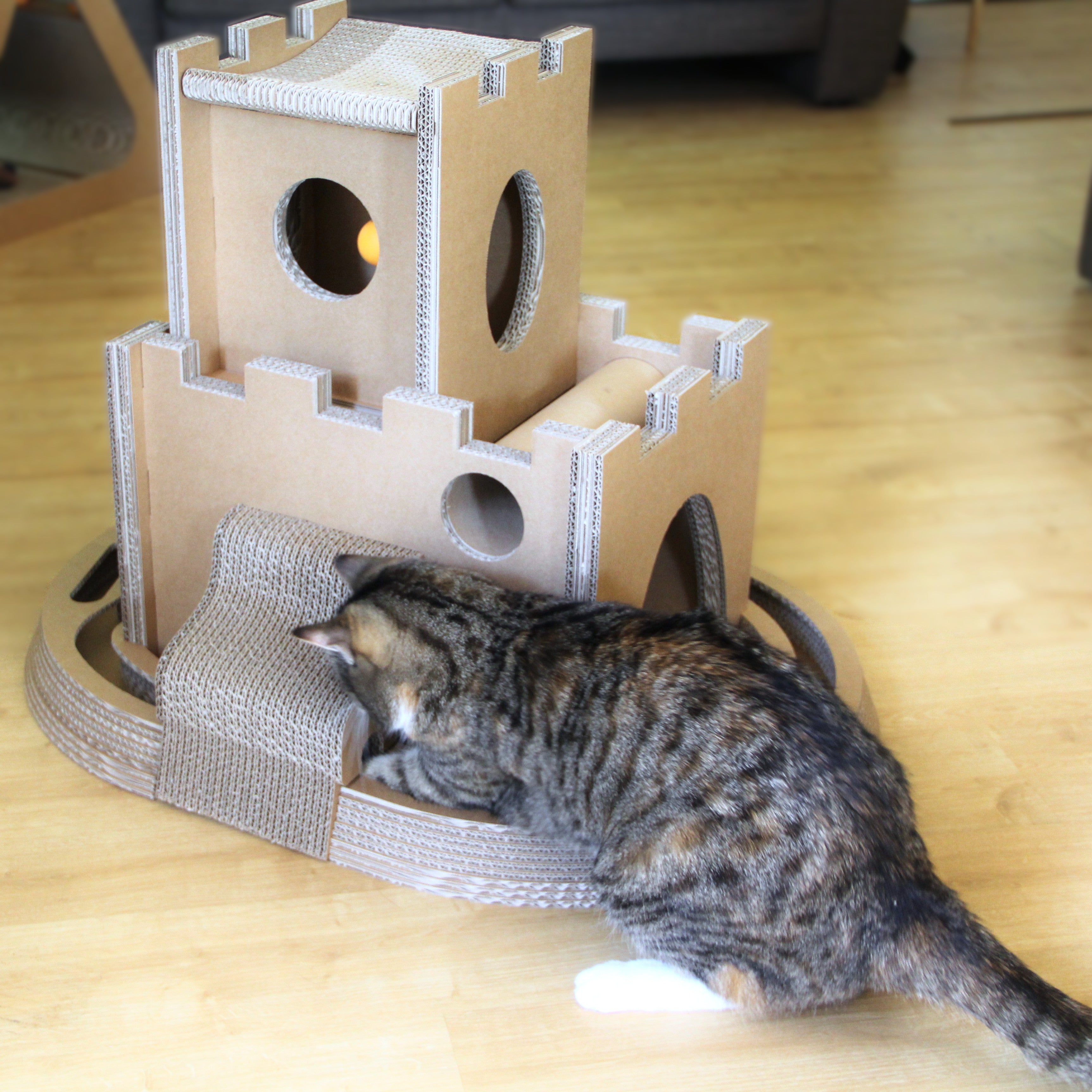 Katzenburg mit Katze Mia - Kratzmöbel und Aussichtspunkt Made in Germany