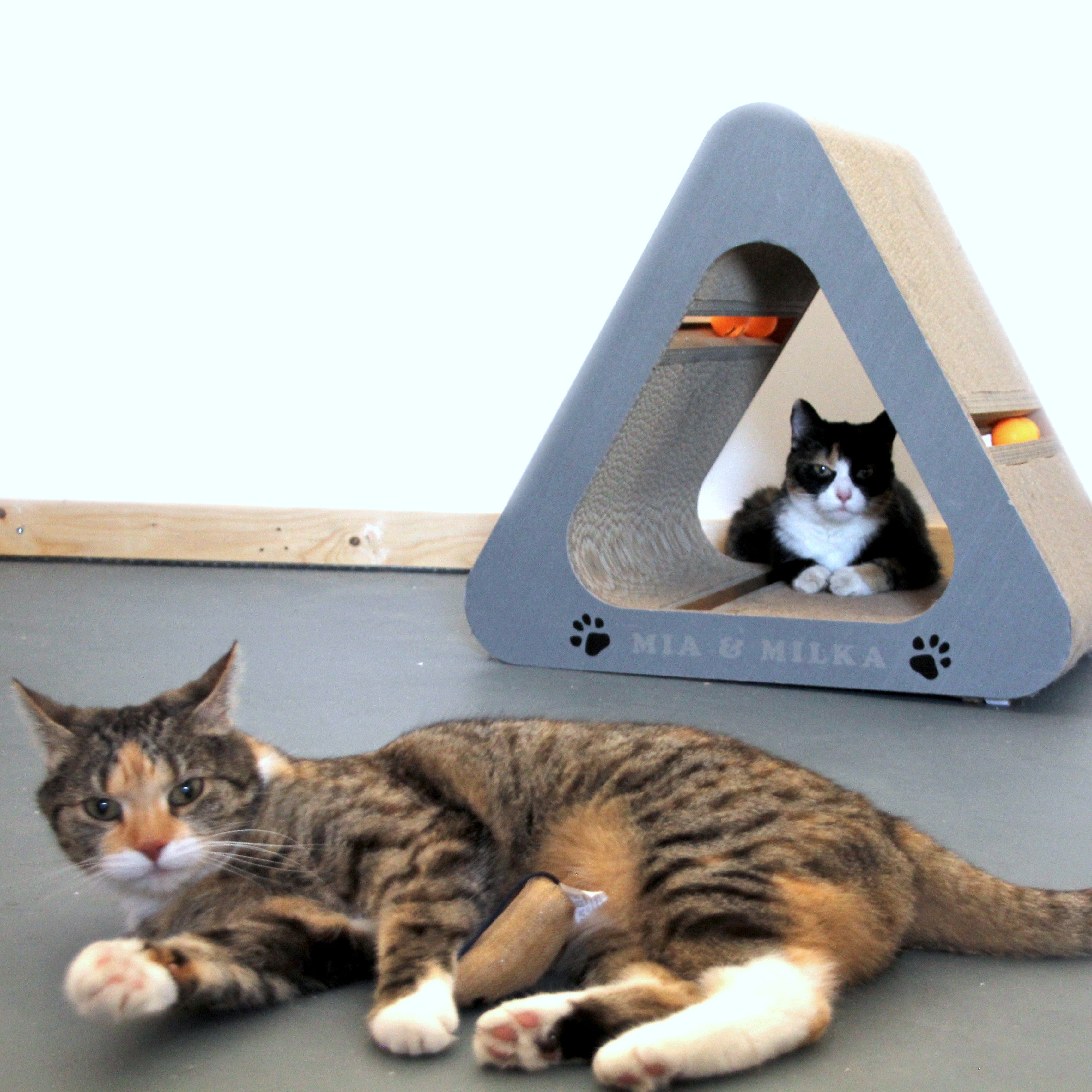 Katzendreieck mit Katzen Mia und Milka - Kratzmöbel Made in Germany