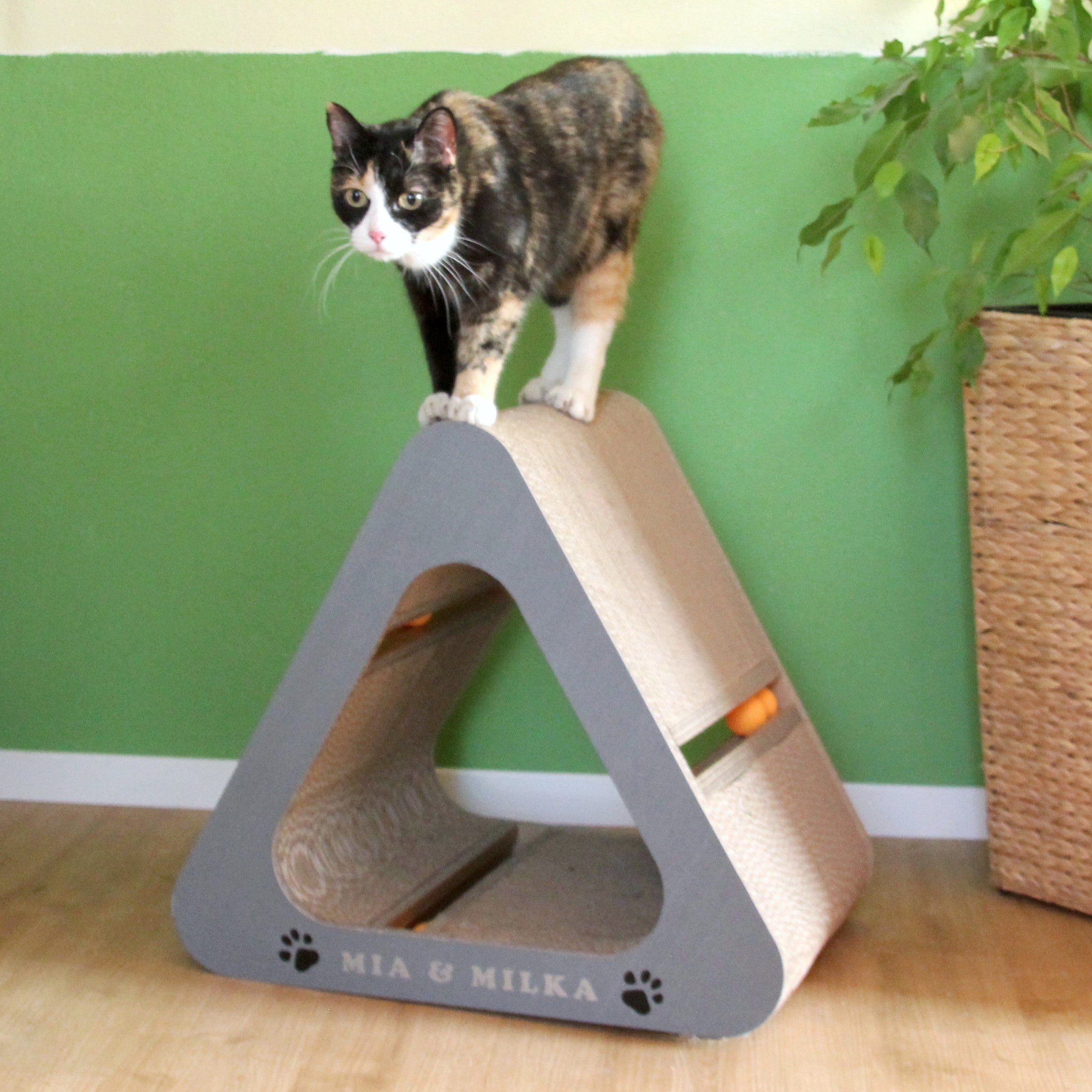 Katzendreieck in grau mit Katze Milka - Wellpappe Kratzmöbel