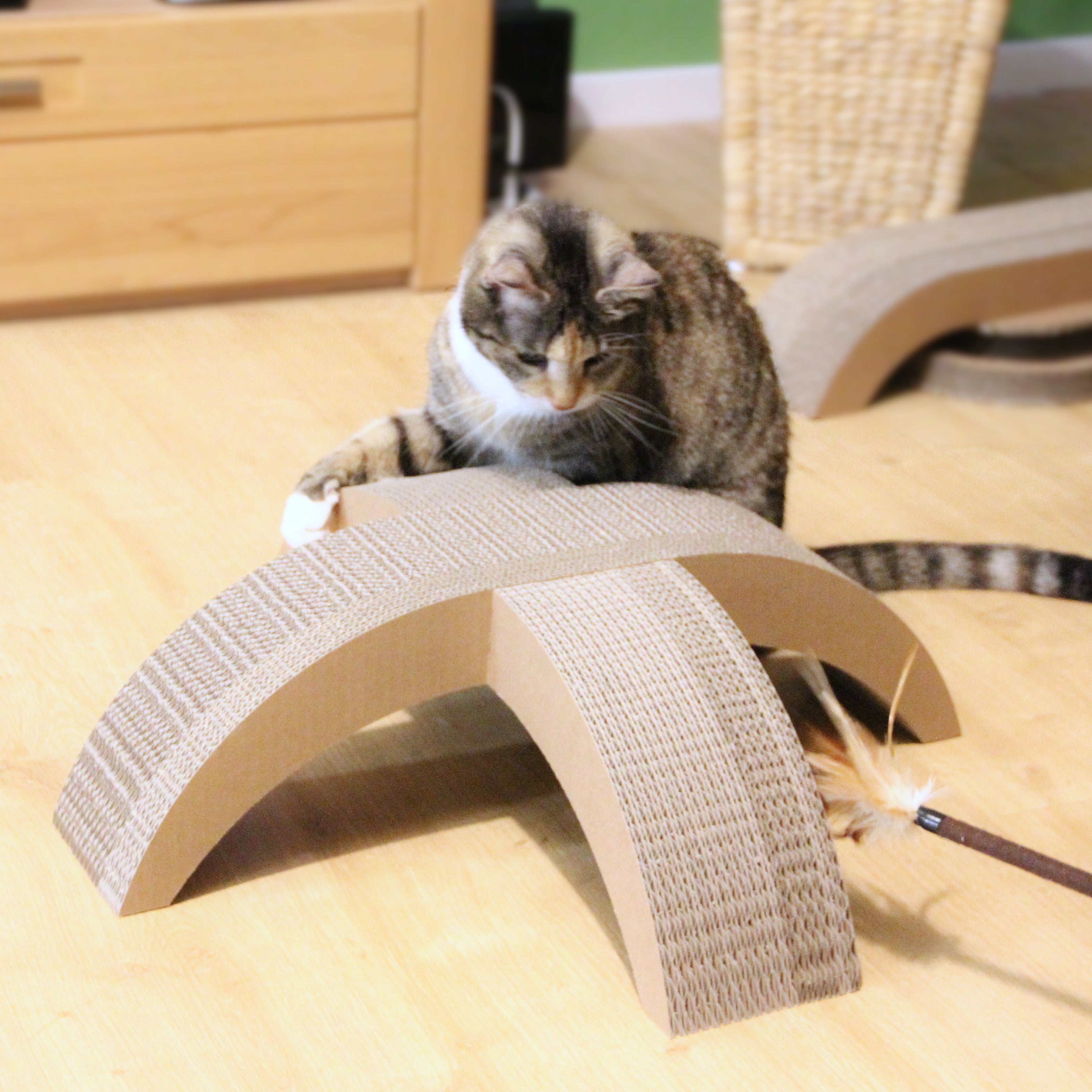 Katzenkreuz mit Katze Mia - langlebige Kratzfläche aus Wellpappe