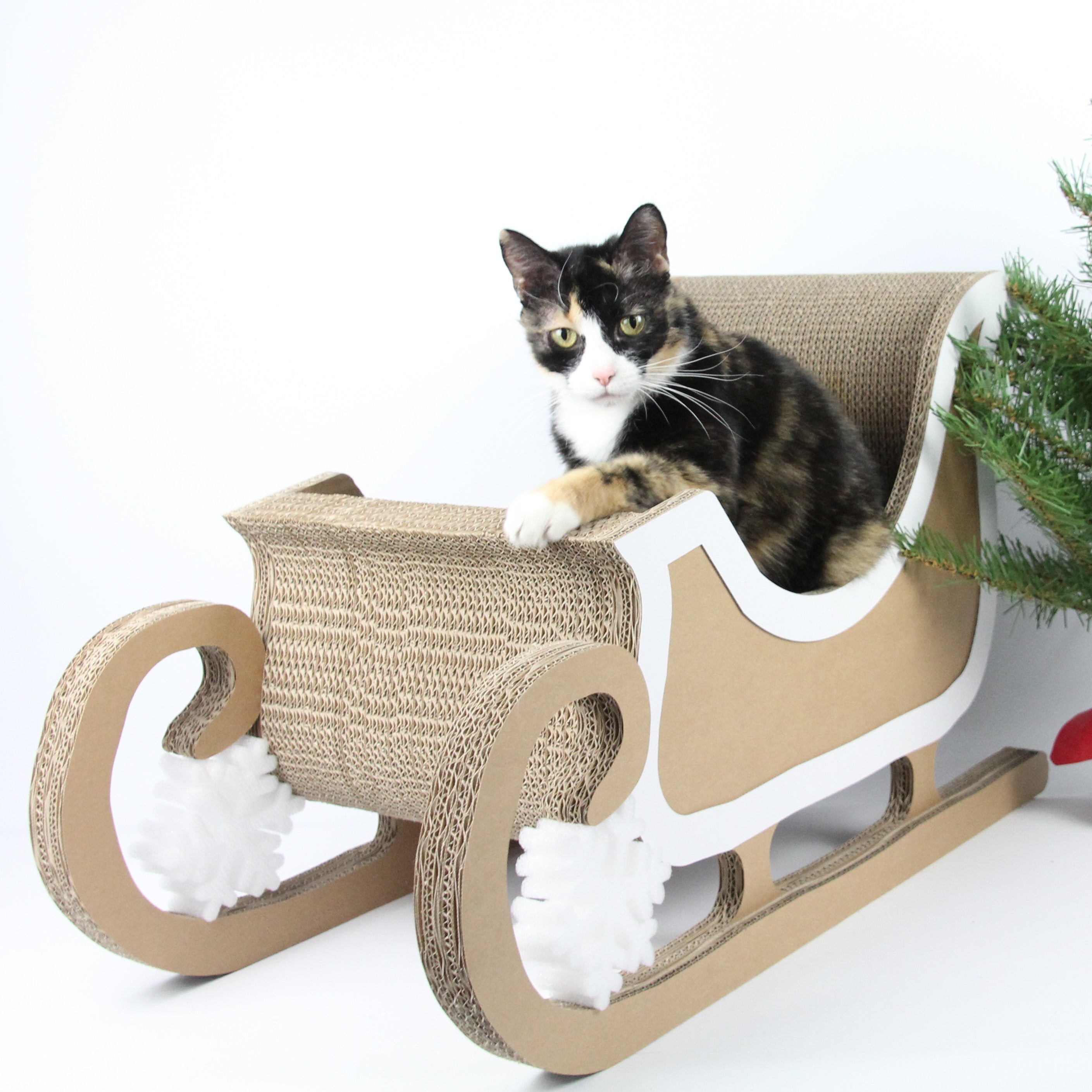 Katzenschlitten Größe M Detailansicht - nachhaltiges Katzenzubehör