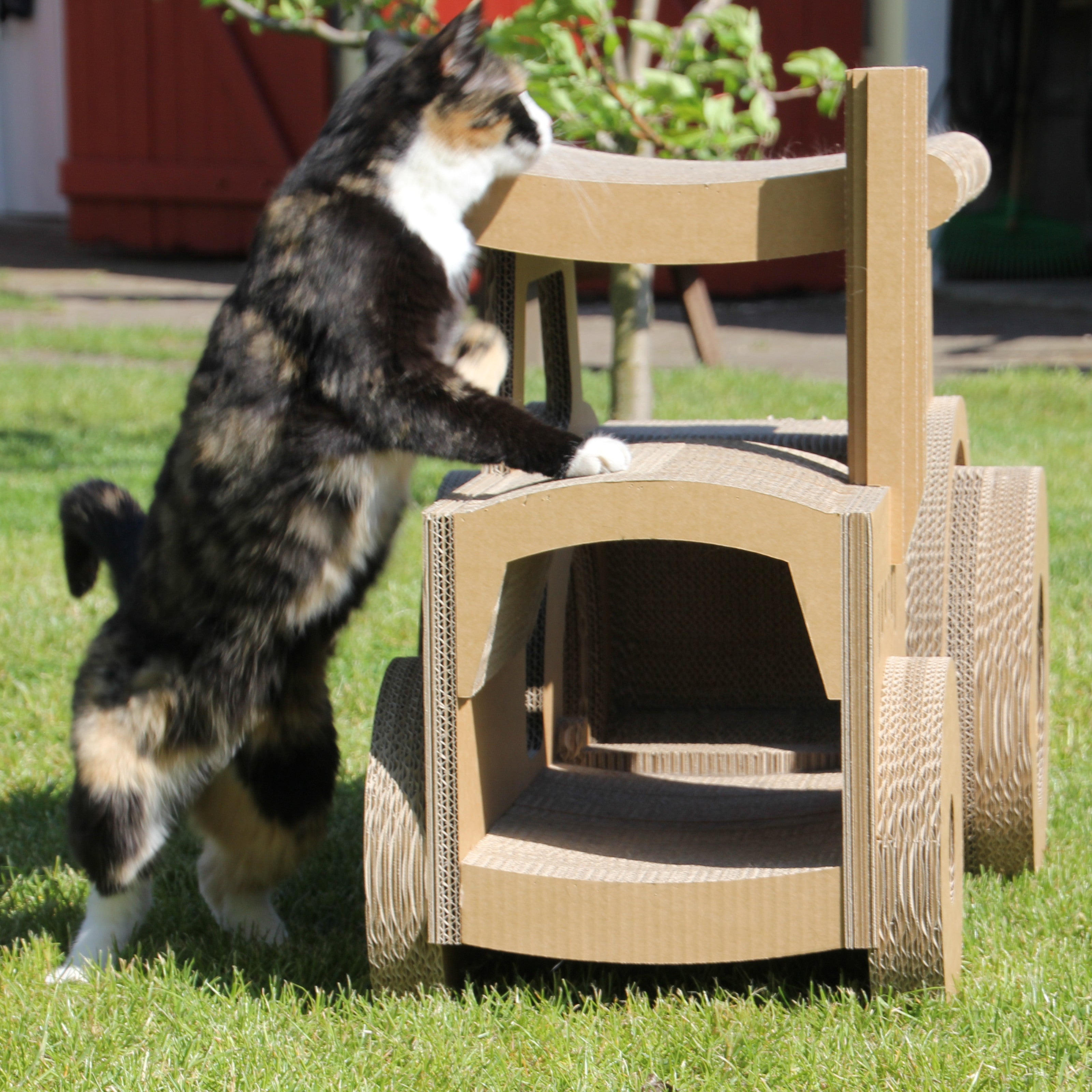 Katzentraktor mit Katze - Kratzmöbel und Spielmöglichkeit Made in Germany