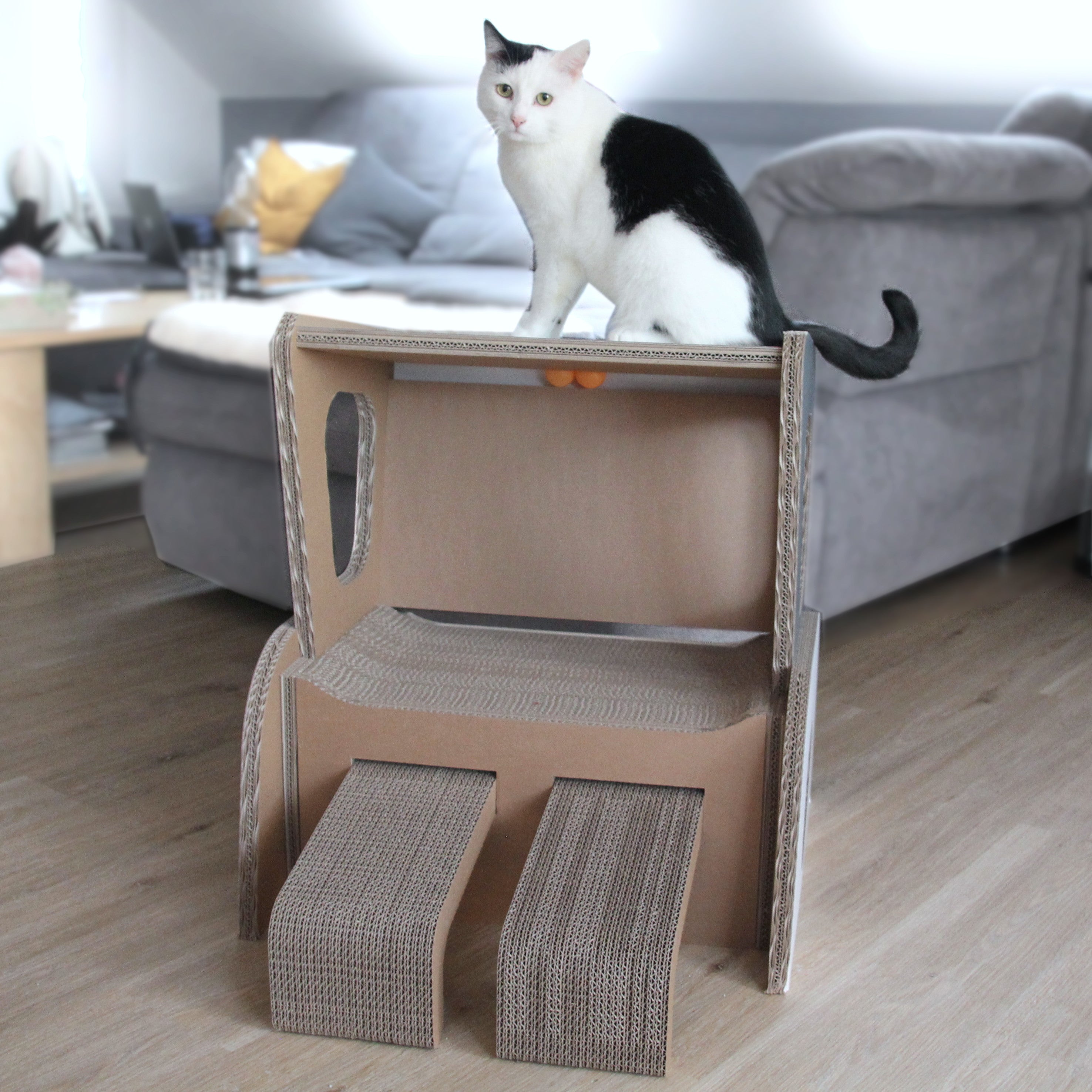 Katzenstrandkorb mit Katze - nachhaltiges Kratzmöbel mit Spielbällen