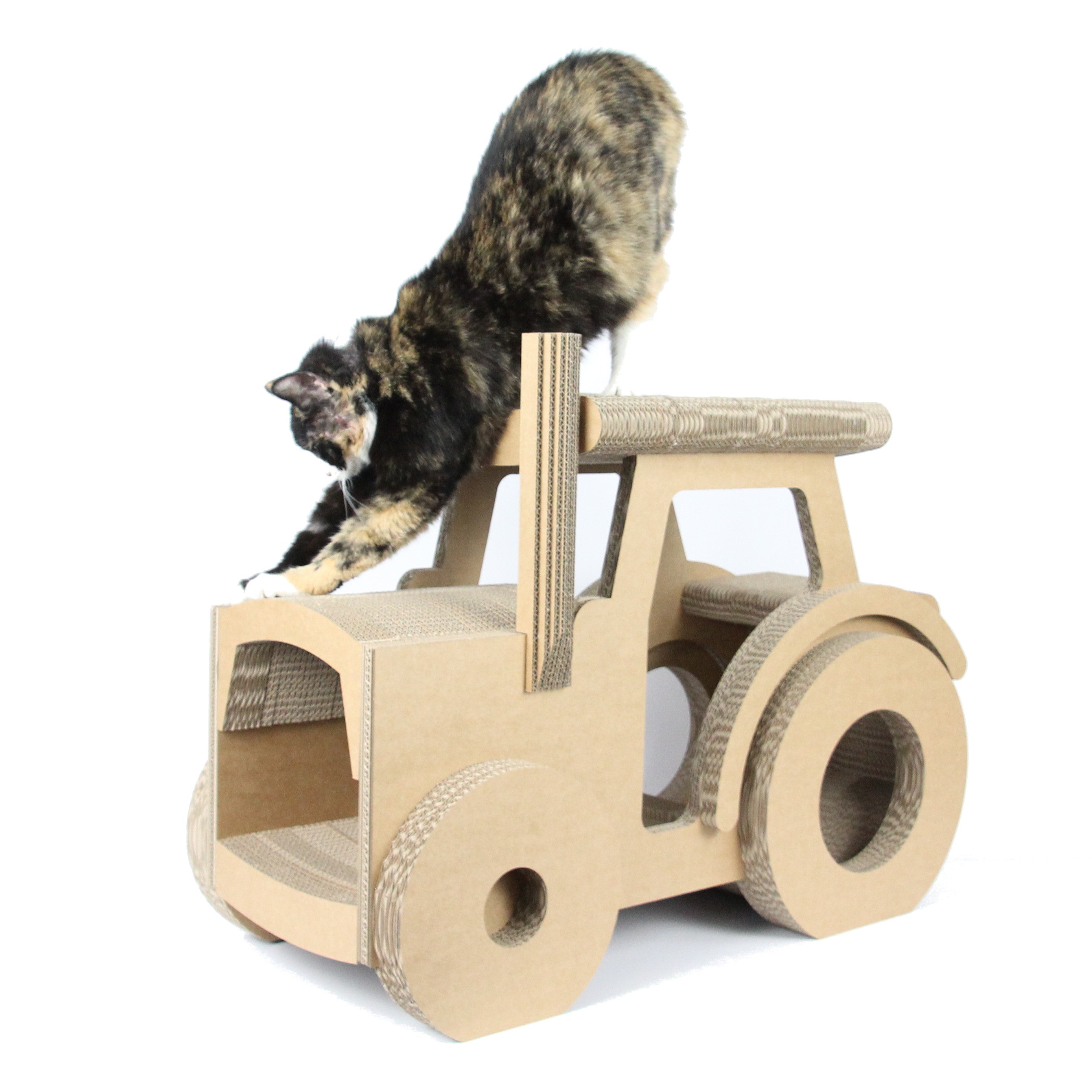 Katzentraktor Perspektive - nachhaltiges Kratzmöbel aus Wellpappe